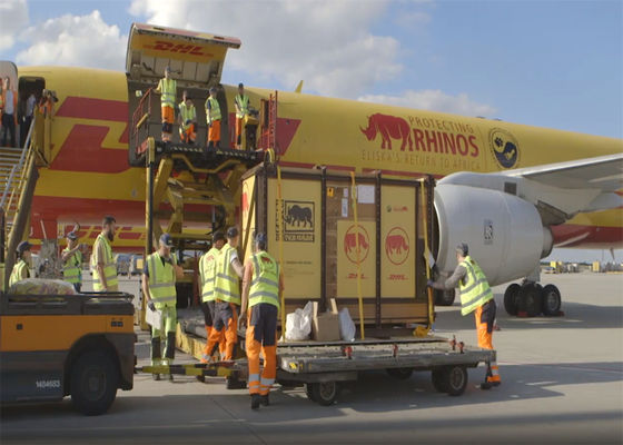 100 kg DDP Serviço de Correios Expressos Mundial