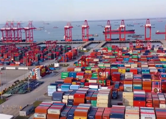 LCL DDP Forwarder de carga marítima China para o Reino Unido Serviço de logística porta a porta