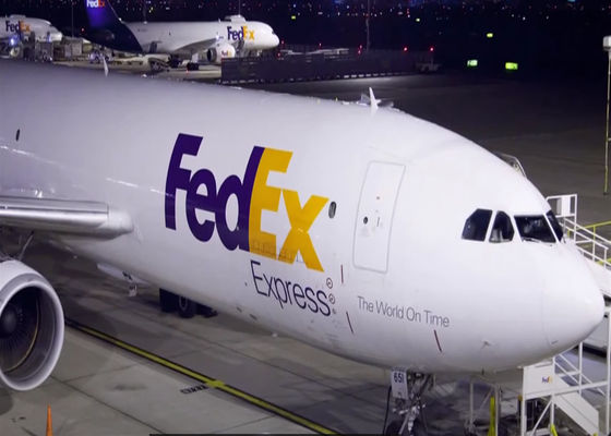Portão a Portão FedEx DHL UPS International Express Freight Service Todos os tipos
