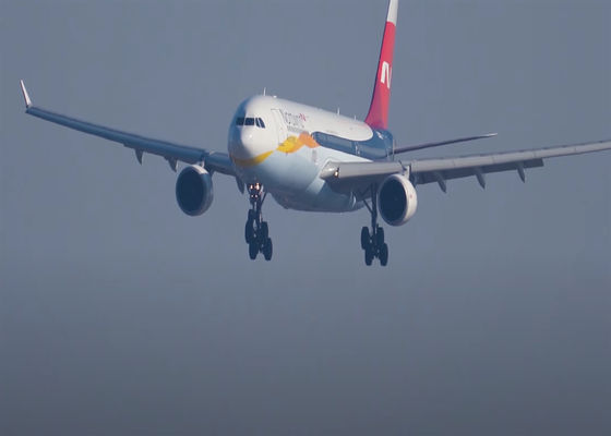 5 a 7 dias Transporte aéreo internacional de carga Transporte marítimo de localização Entrega CZ BA Airlines