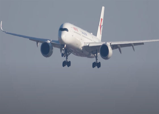 DDP Confiável Frete Aéreo Carga no Exterior Logística Internacional