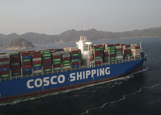 FCL Forwarder de carga marítima China para a Austrália Global Logistics Transport