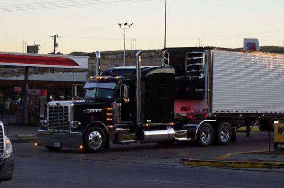Guangzhou para a Polônia Transporte de carga rápida por caminhão DDU Cargo Logística internacional