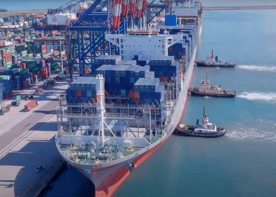 LCL FCL Transporte Marítimo Internacional Guangzhou Para o Mundo
